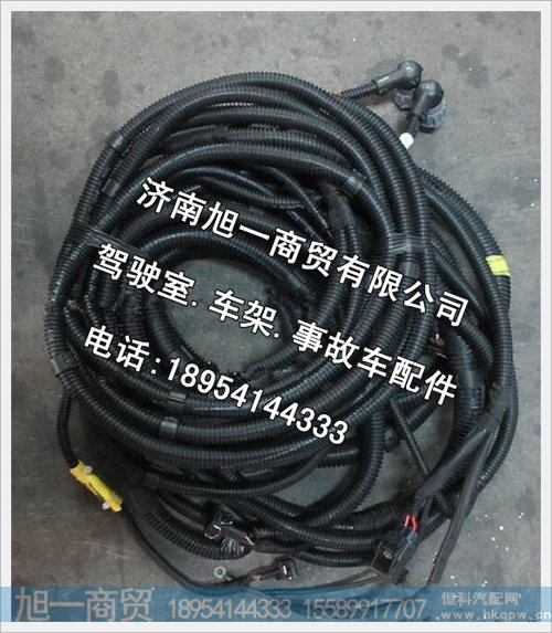 陕汽德龙奥龙车架线束DZ95319774362