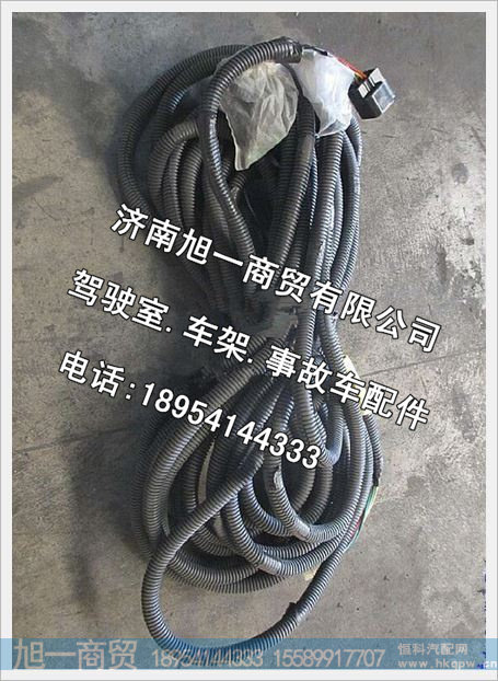 陕汽德龙奥龙仪表底盘线束LDZ91189771014
