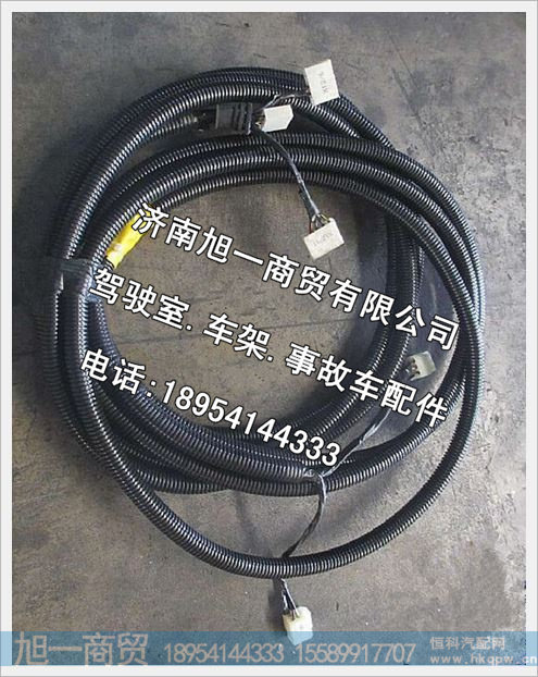 陕汽德龙车架线束(680)DZ91189771001