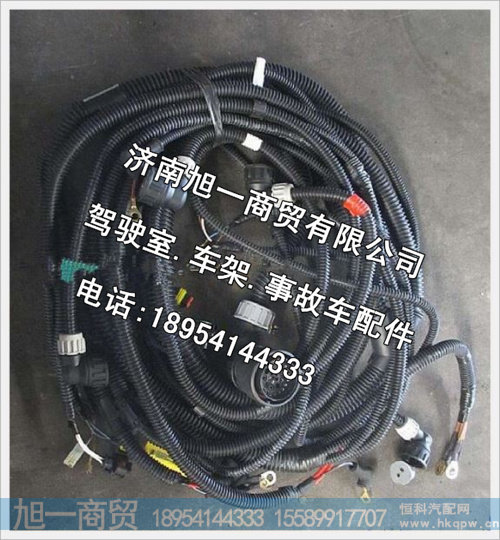 陕汽德龙底盘线束(二)DZ93189774076