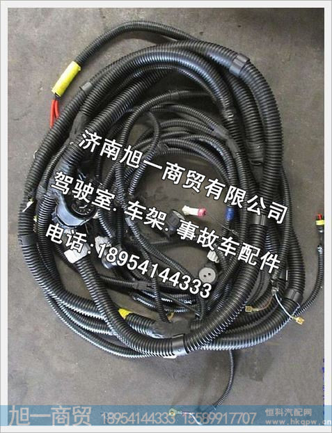 陕汽德龙底盘线束(二)DZ93319774093