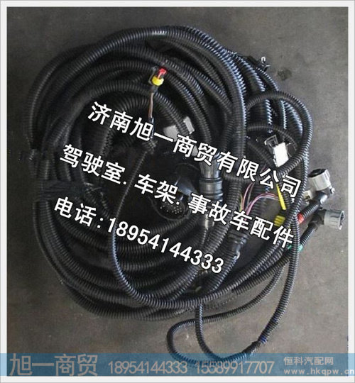 陕汽德龙底盘线束（一）DZ93319774032