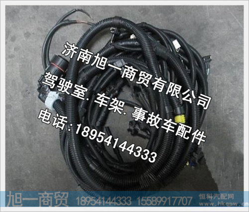 陕汽德龙底盘线束（一）DZ93319774009