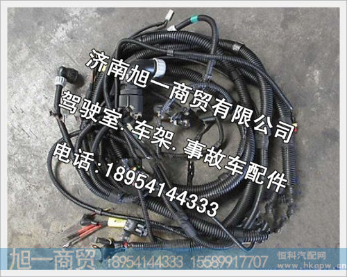 陕汽德龙发动机、变速器底盘电线束DZ95189777951