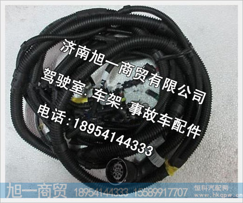 陕汽德龙发动机、变速箱电线束DZ93259775092