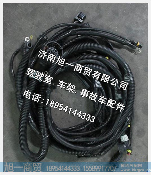 陕汽德龙发动机变速器底盘电线束DZ93319774686