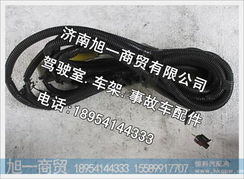 陕汽德龙发动机底盘电线JZ93259775008