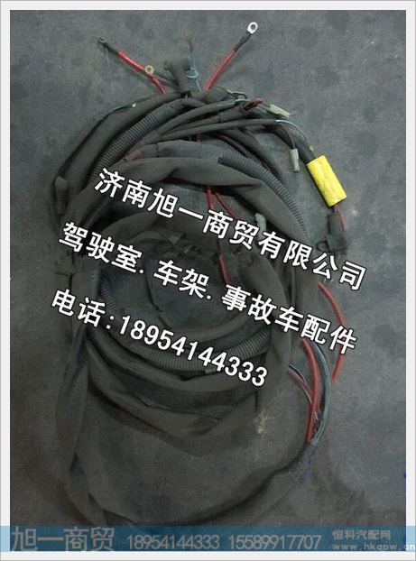 陕汽德龙发动机底盘电线束DZ92189774002