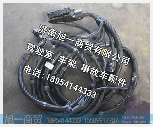 陕汽德龙发动机底盘电线束DZ93189774552