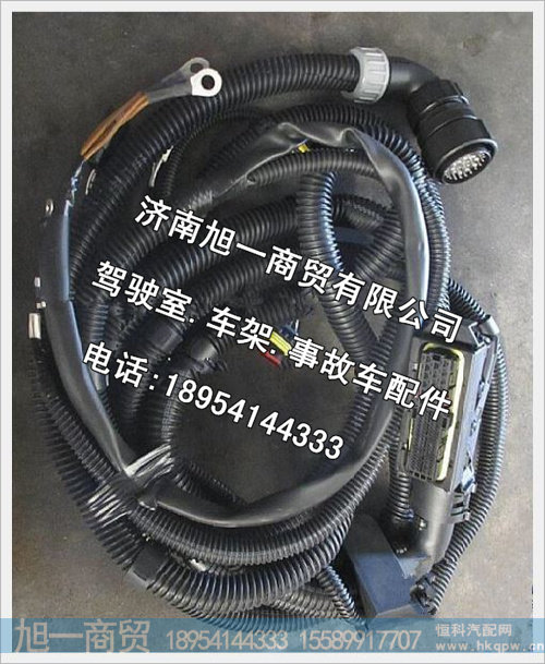 陕汽德龙发动机底盘电线束DZ93189774565
