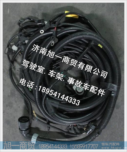 陕汽德龙寒区发动机、变速器电线束DZ93319774681