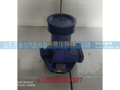612600061739,潍柴发动机水泵,山东晟曼尔汽配有限公司