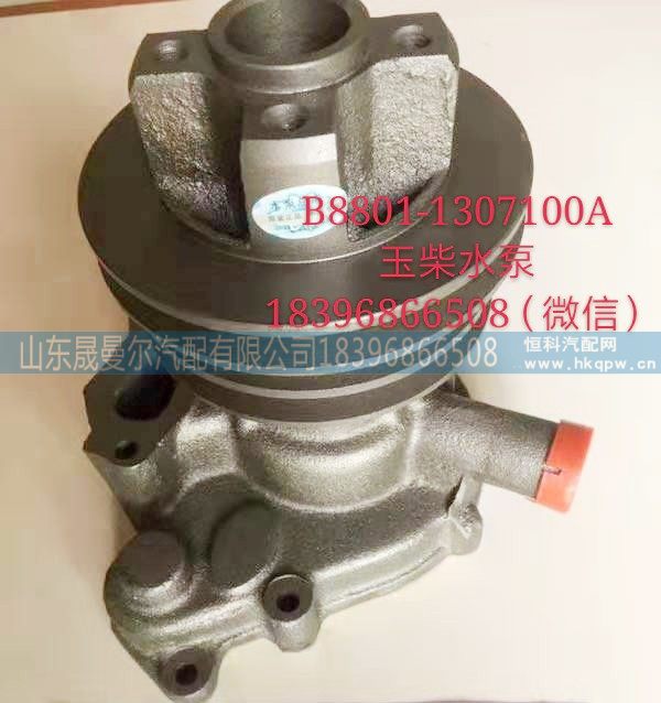 B8801-1307100A玉柴水泵/B8801-1307100A