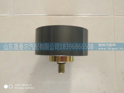 080V95800-6099,重汽曼平惰轮10mm,山东晟曼尔汽配有限公司