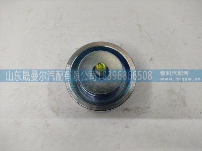 13NS00-1002470KS1,玉柴精品惰轮8PK,山东晟曼尔汽配有限公司