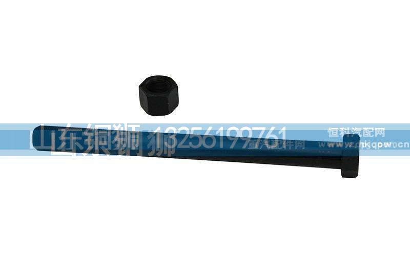 Q151B20240DFG,推力杆六角头螺栓,山东铜狮汽车零部件有限公司