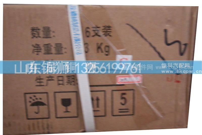 ,P12连杆总成,山东铜狮汽车零部件有限公司