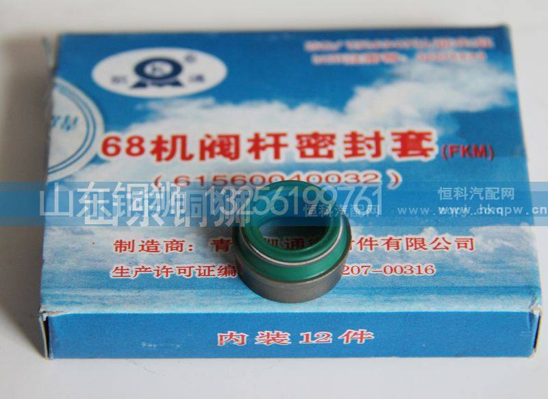 61560040032,气门油封（欧Π）,山东铜狮汽车零部件有限公司