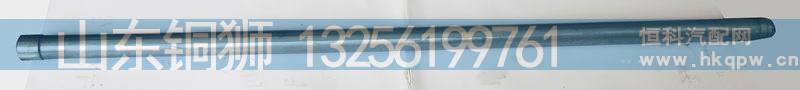 VG1246050020,气门推杆WD12,山东铜狮汽车零部件有限公司