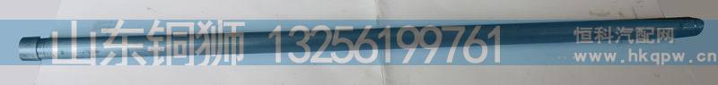 612630050021/1,,山东铜狮汽车零部件有限公司