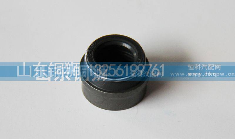气门油封 欧3     与VG1540040026通用