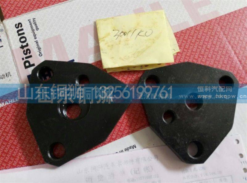 30011KO,,山东铜狮汽车零部件有限公司