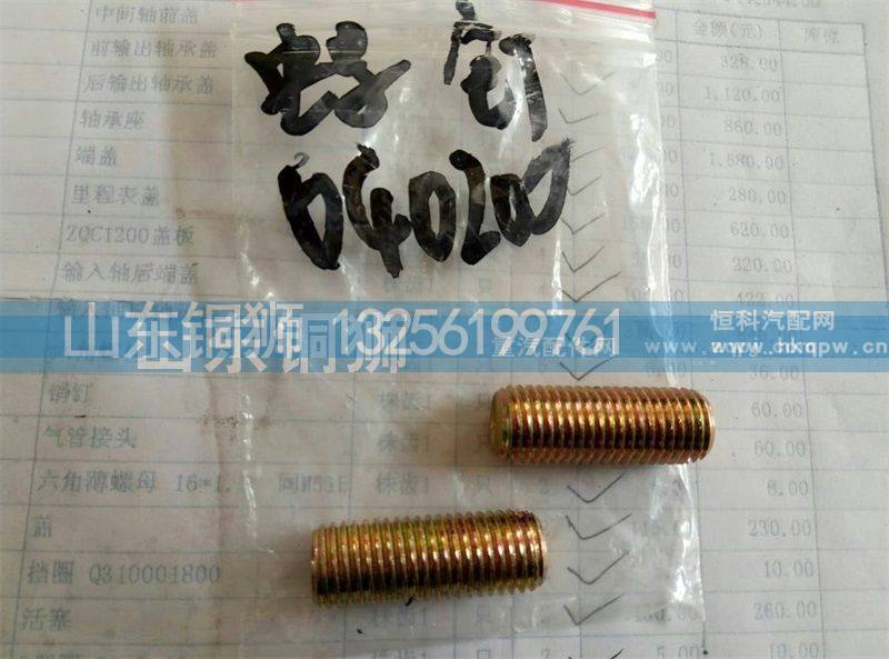040200,螺钉,山东铜狮汽车零部件有限公司