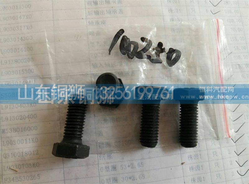 100250,,山东铜狮汽车零部件有限公司
