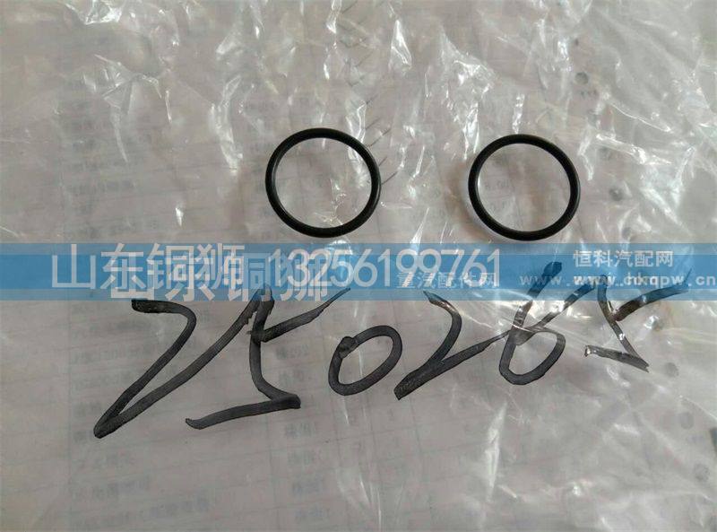250265,,山东铜狮汽车零部件有限公司