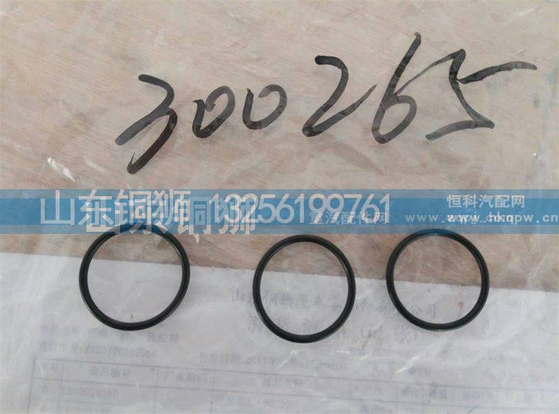 300265,,山东铜狮汽车零部件有限公司