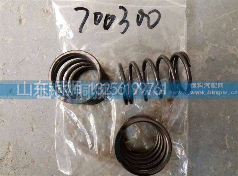 700300,,山东铜狮汽车零部件有限公司