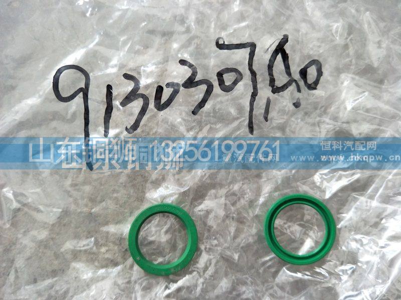 9130307AO,,山东铜狮汽车零部件有限公司