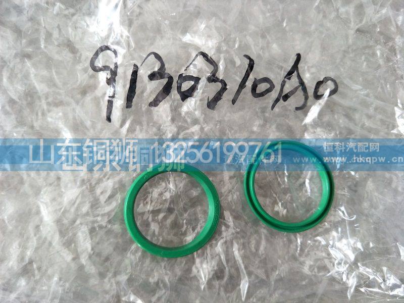 9130310AO,,山东铜狮汽车零部件有限公司