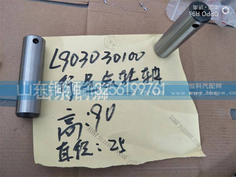 L903030100行星齿轮轴
