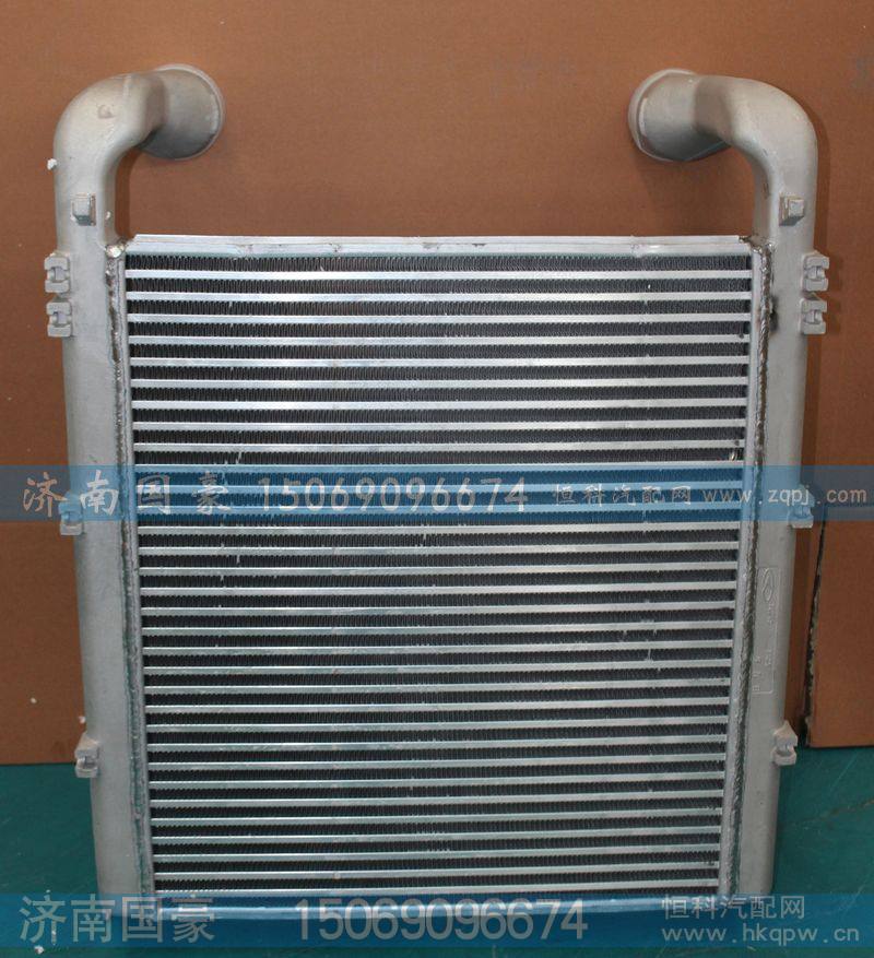 111973R-010  中冷器 华凌