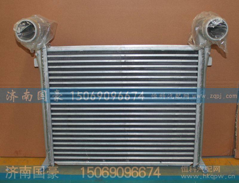 WG9412531234  中冷器  重汽