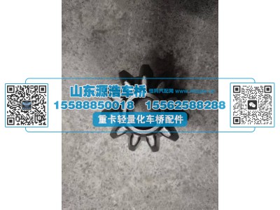 199012320010,行星齿轮-0010,山东源浩汽车配件有限公司