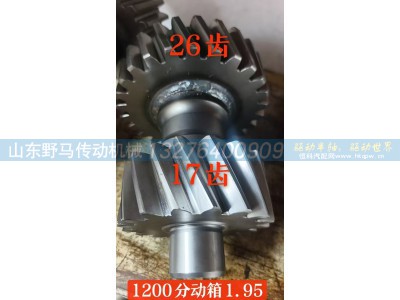 ,1.95 速比双联中间齿轮轴,山东野马传动机械有限公司