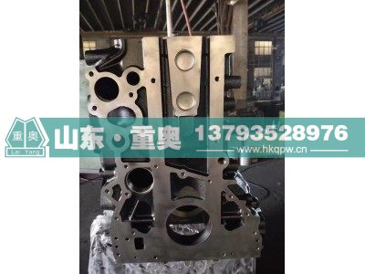 612630090001,P12 气缸盖,山东重奥汽车配件销售有限公司