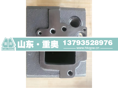 61265004001,缸盖,山东重奥汽车配件销售有限公司