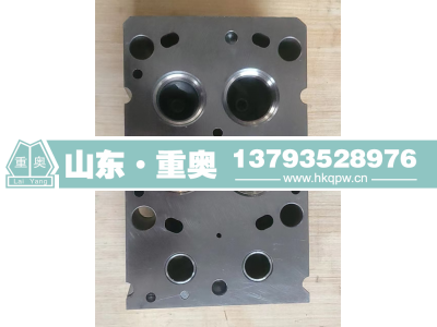 61265004001,缸盖,山东重奥汽车配件销售有限公司