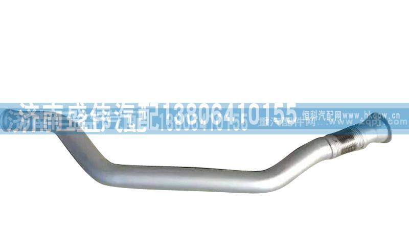 绕行软管WG9731542071