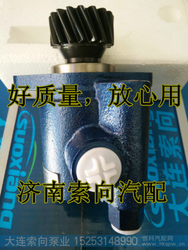 P42503400010,助力泵/叶片泵/齿轮泵,济南索向汽车配件有限公司