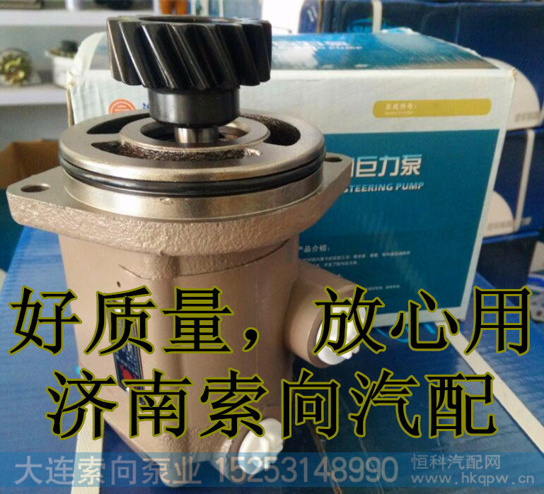 612600130523,助力泵/叶片泵/齿轮泵,济南索向汽车配件有限公司