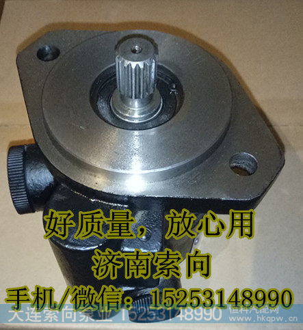 13028283,助力泵/叶片泵/齿轮泵,济南索向汽车配件有限公司