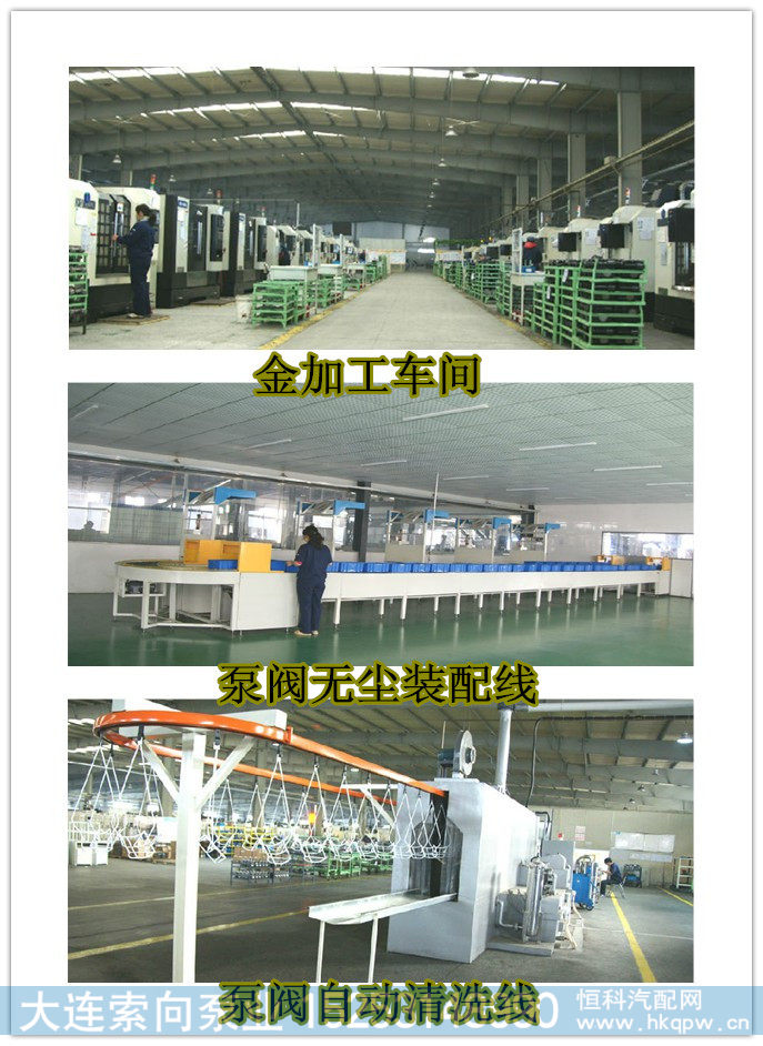 13024586,濰柴道依茨226B  助力泵 齒輪泵,濟(jì)南索向汽車(chē)配件有限公司