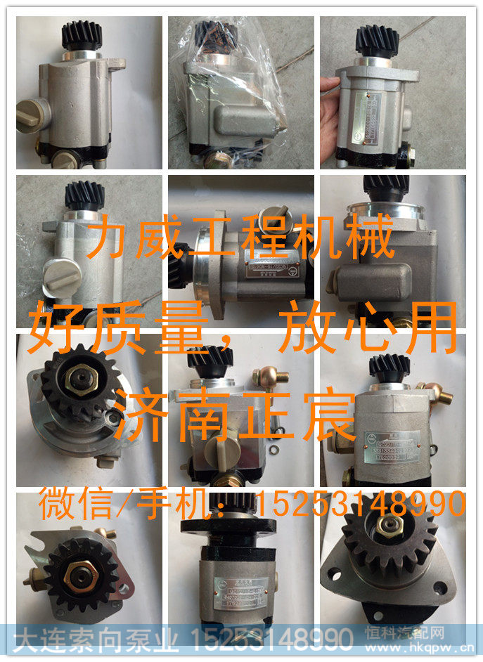 QC22/18-WP12-W,潍柴WP12  助力泵 齿轮泵,济南索向汽车配件有限公司