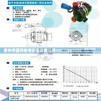 无刷磁力屏蔽电子水泵400W 500W 600W 700W 800W