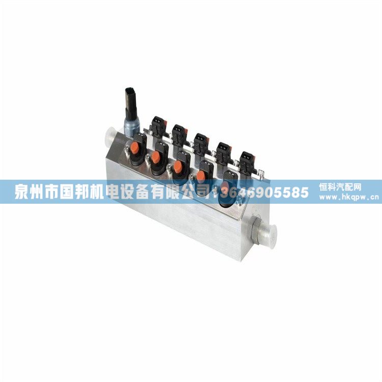 WEARDWOOD濰柴OH6計量噴射閥噴嘴1309-6234/計量噴射閥噴嘴1309-6234