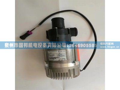 电子水泵1307-00907,电子水泵,泉州市国邦机电设备有限公司